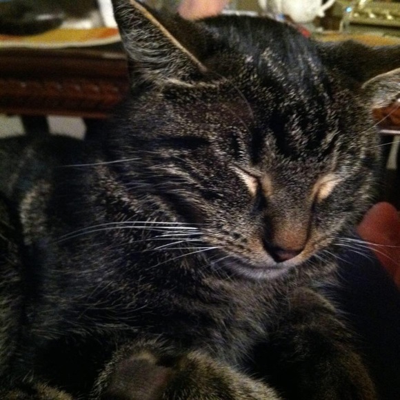 Meet your Posher, Lori - Picture 2 of 11